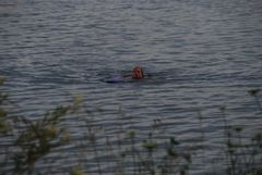 ...die Wassertemperatur war angenehm...Bergungsschwimmer