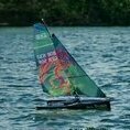 SeaDragon