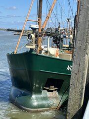 IMG_5277.jpeg