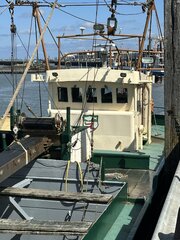 IMG_5283.jpeg