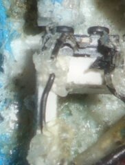 DSCN1451.JPG