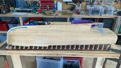 IMG_7719.jpeg